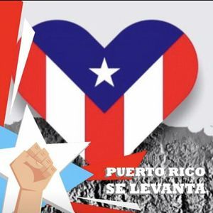 Meet your Posher, Wanda